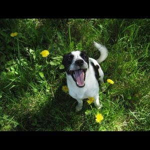 Meet your Posher, Allison